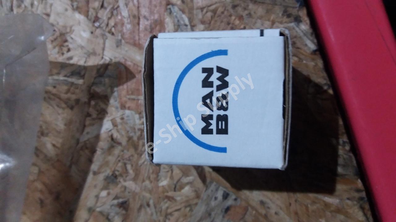 MAN B&W Atomizer 4x0.95 (779325-4) 07793470