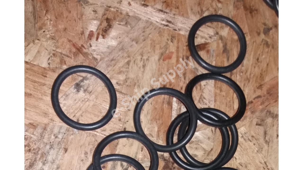 Wartsilla O-Ring 165012014 Maxi 49605