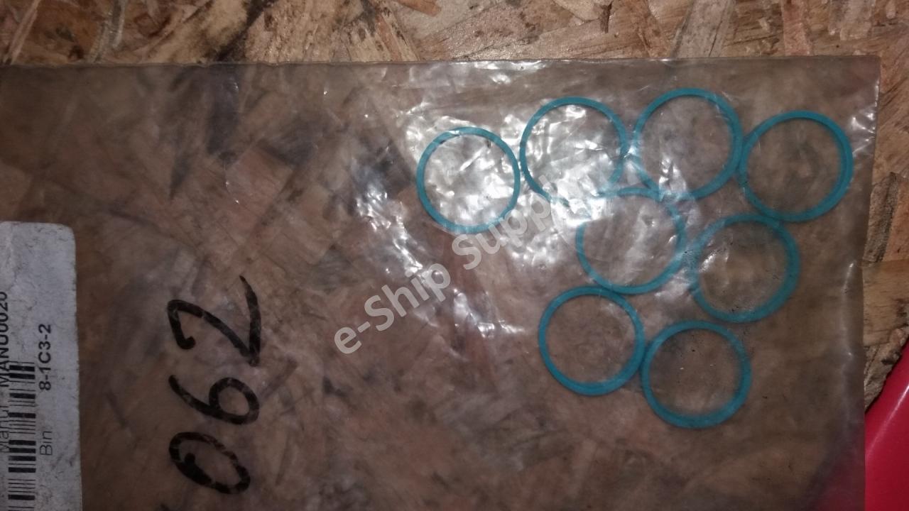Sealing Ring 1105432 165062