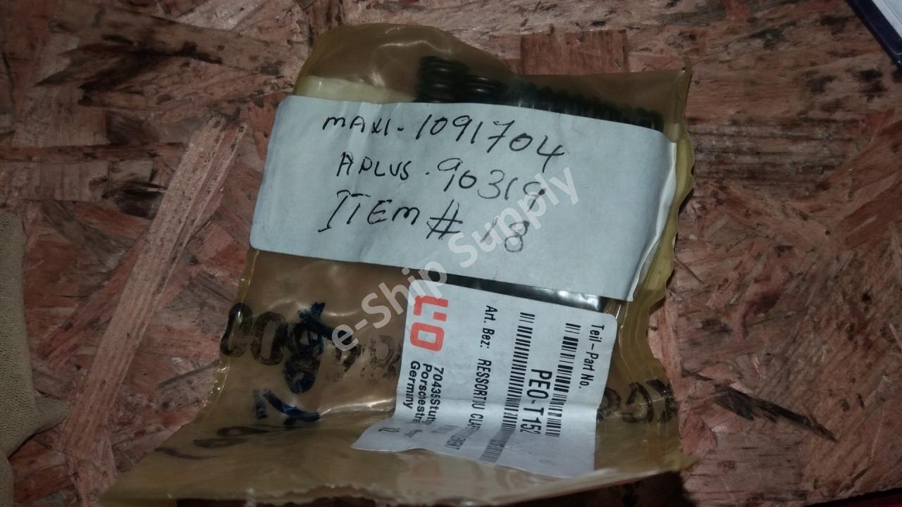 Main Delivery Valve Spring (Maxi 1091704), PEO-T152