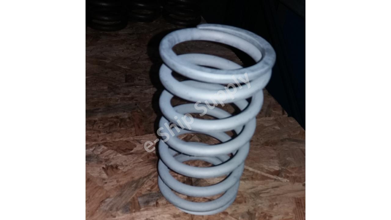 Plunger Spring PEO-T125