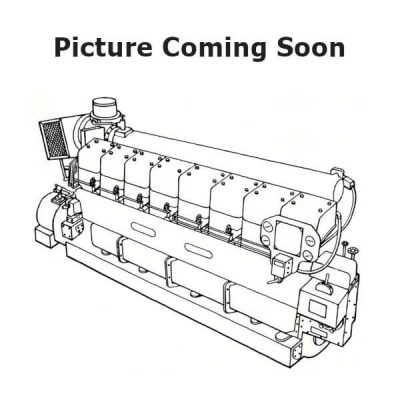 Deutz RBV12M350 Fuel pump for sale